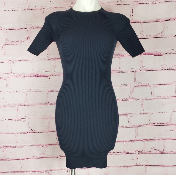 Everlane Dresses & Skirts - Everlane Navy Ribbed Bodycon Dress